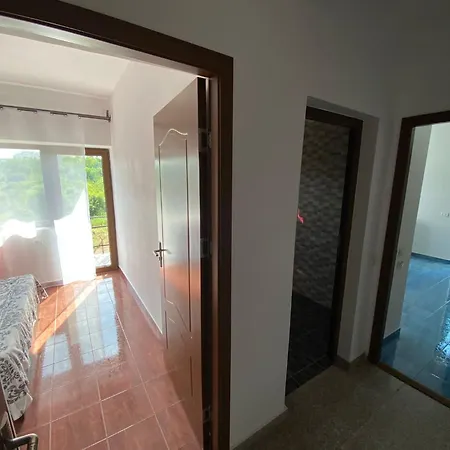 Gazde/Camere de închiriat Casa Evy *